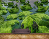 Avikalp MWZ2551 Green Stones Trees Pond River Lake Water HD Wallpaper