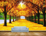 Avikalp MWZ2578 Orange Leaves Trees Autumn Orange  Road HD Wallpaper
