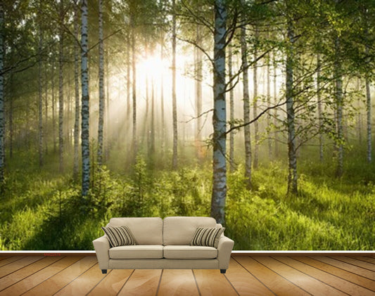Avikalp MWZ2579 Sunlight Trees Grass Forest HD Wallpaper