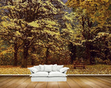 Avikalp MWZ2587 Trees Grass Leaves Bench HD Wallpaper