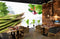 Avikalp MWZ3155 Lettuces Herbs Cabbage Onions HD Wallpaper for Cafe Restaurant