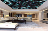 Avikalp MWZ3280 Stars Galaxy HD Wallpaper for Ceiling