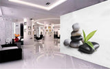 Avikalp MWZ3657 Black White Stones Leaves HD Wallpaper for Spa