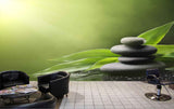 Avikalp MWZ3668 Stones Green Leaves Water HD Wallpaper for Spa