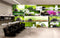 Avikalp MWZ3729 Pink White Flowers Stones Leaves HD Wallpaper for Spa