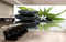 Avikalp MWZ3762 White Flower Stones Leaves HD Wallpaper for Spa